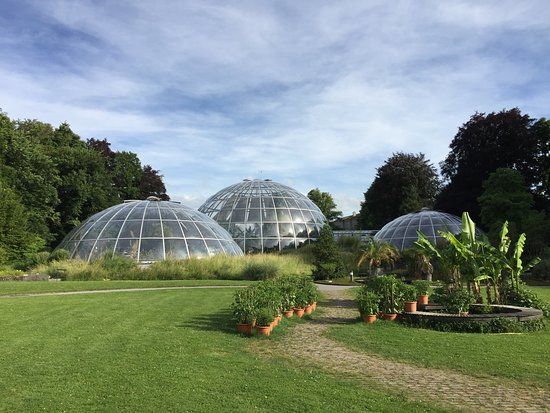 Botanical Garden of the University of Zurich